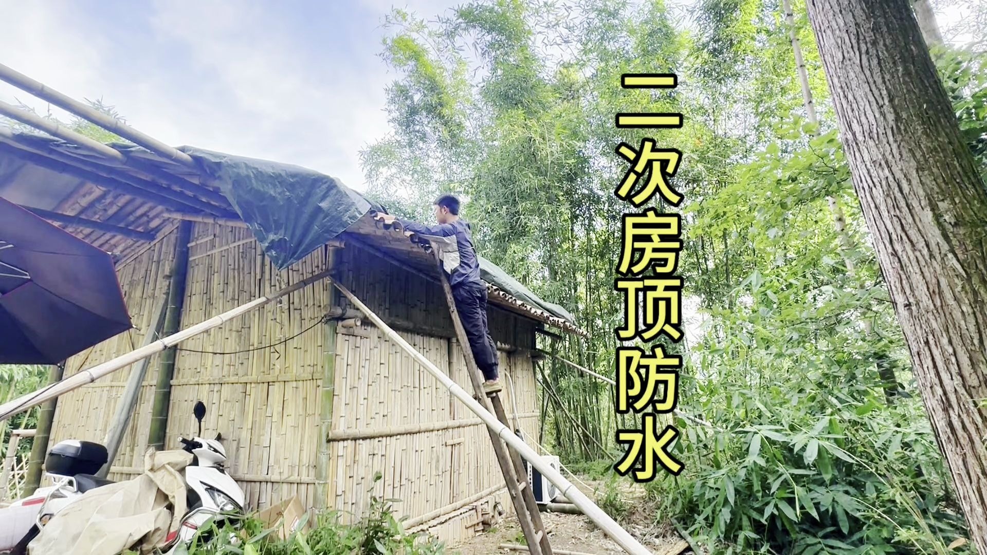 荒野独居昨晚的八级大风，把我竹屋防水布吹飞了，对竹屋防水加固
