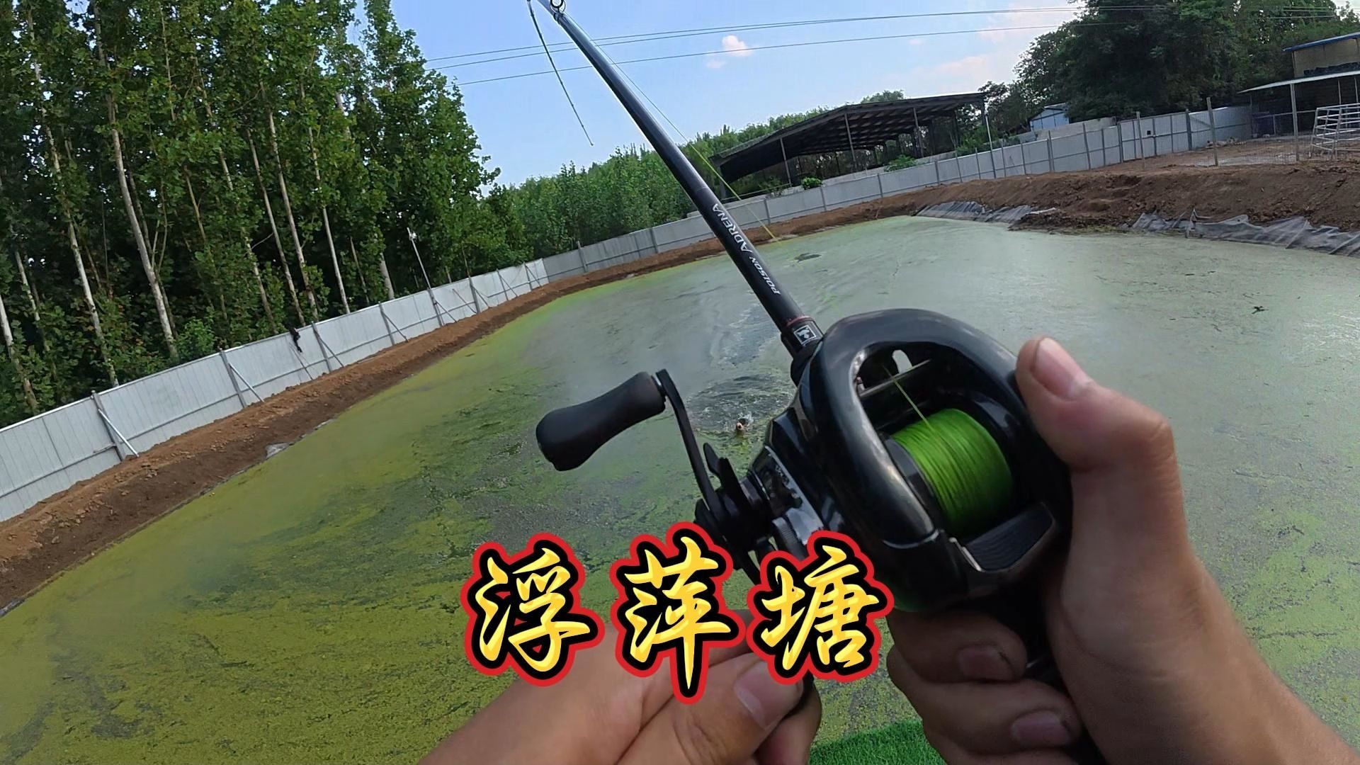 这样才是一个彻彻底底的雷强塘！