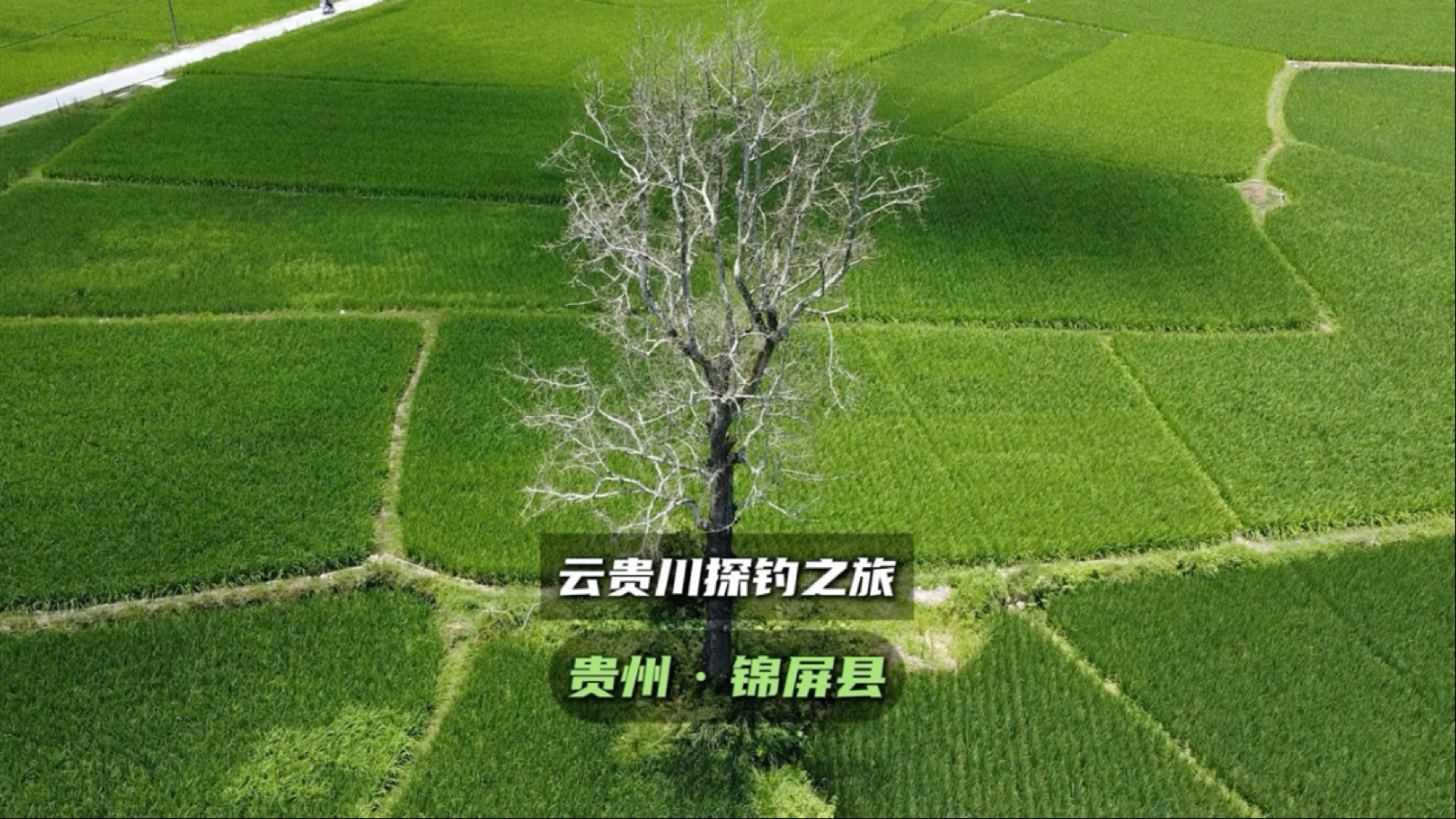 因为一个字，钓鱼佬跑了400公里