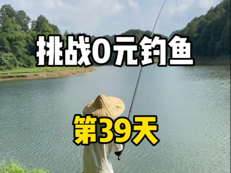挑战0元钓鱼第39天，今天又解锁新物种！