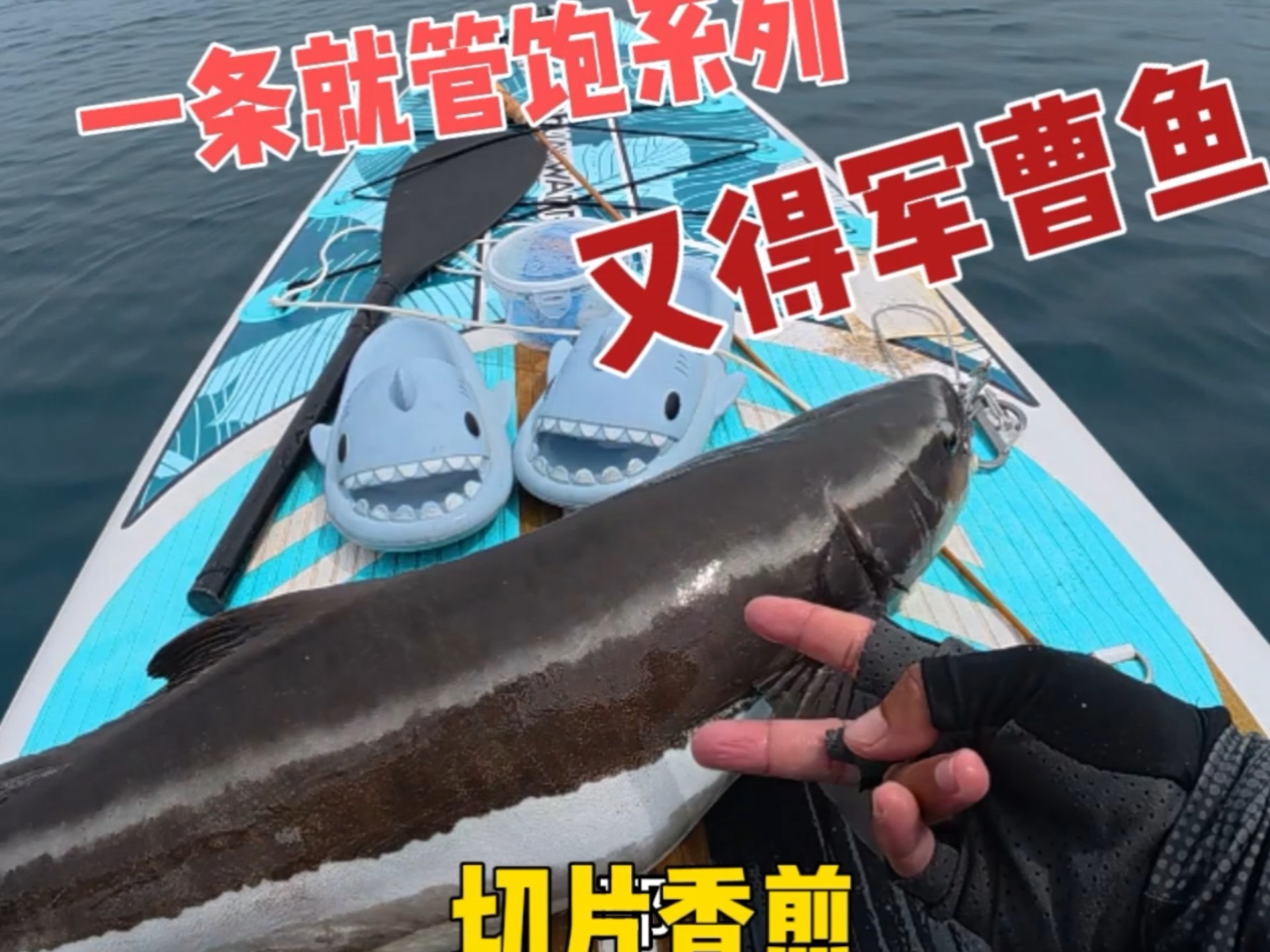 钓一条就管饱