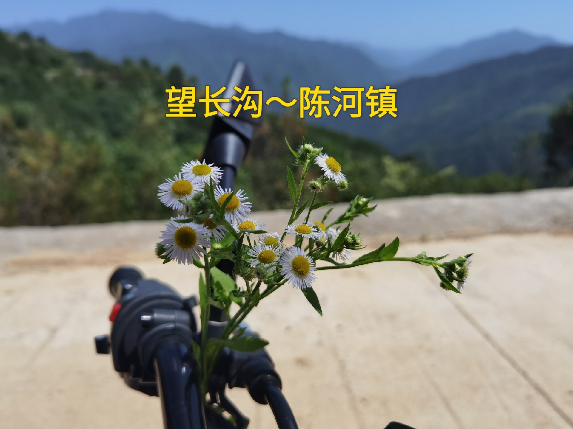 西安去周至陈河镇买土蜂蜜，没进成。回程走了望长沟到陈河镇黑
