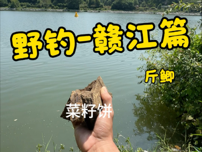 野钓赣江,收获惊喜 野钓赣江,收获惊喜