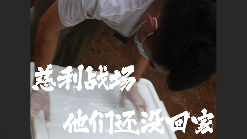 八十多年前的慈利战场，他们没能回家！
