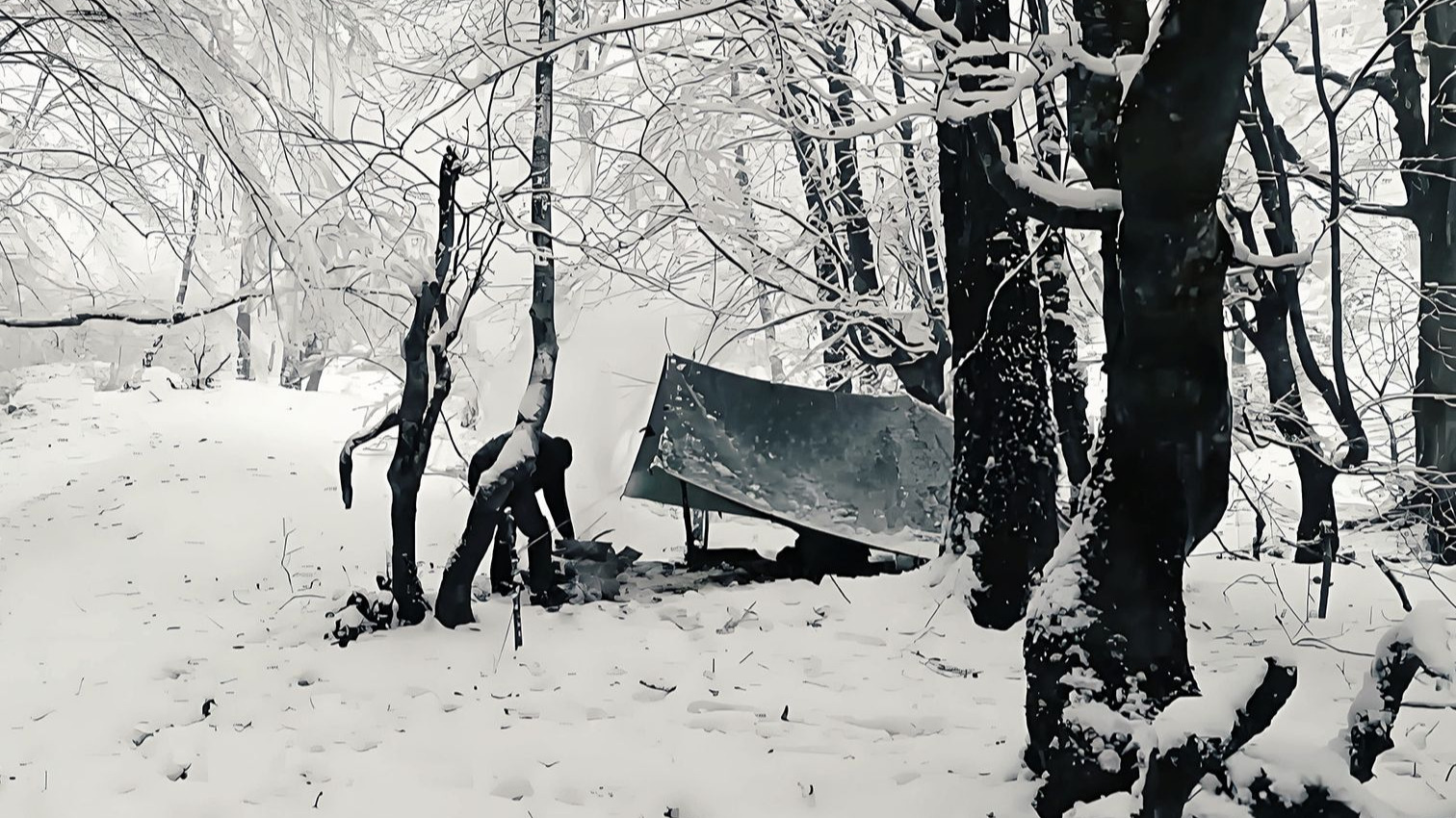 与风雪为邻:在寂静森林中搭建庇护所 与风雪为邻:在寂静森林中搭建庇护所