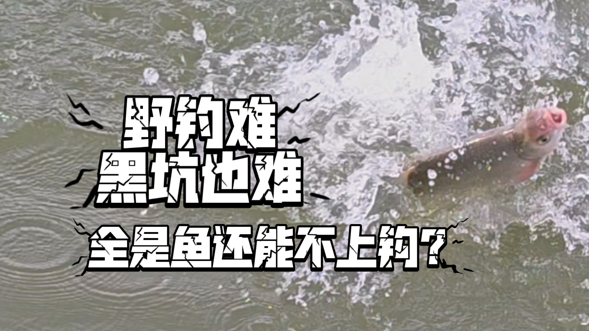 空军太久，去刚放鱼的黑坑钓总能中…的吧？