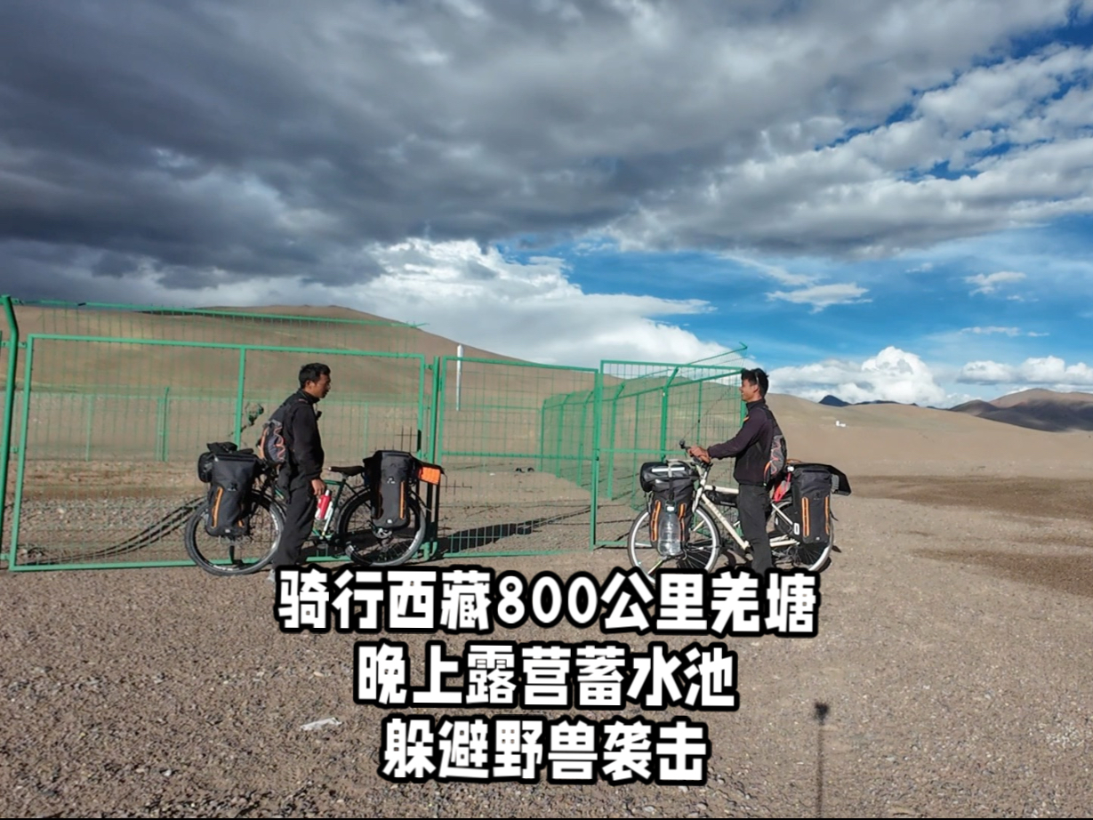 骑行西藏800公里羌塘 晚上露营蓄水池 这是个不错的选择 骑行西藏800公里羌塘 晚上露营蓄水池 这是个不错的选择