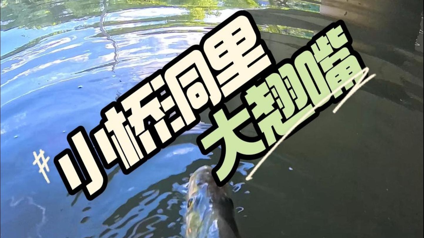 小桥洞里大翘嘴
