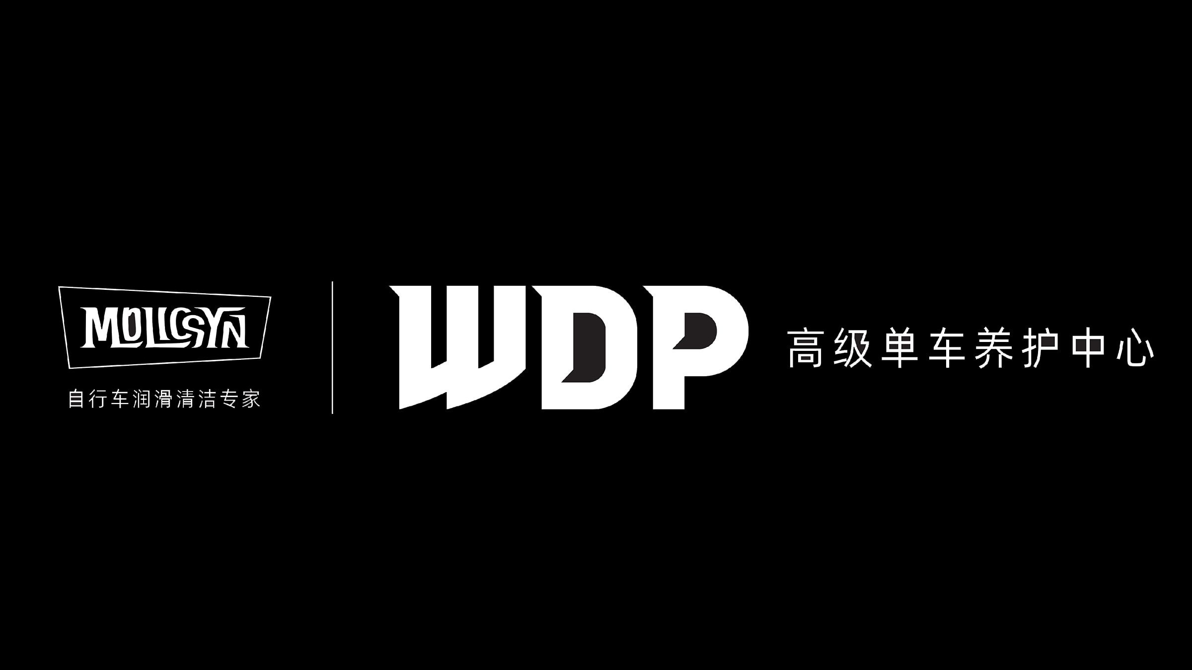 WDP车店开业啦！