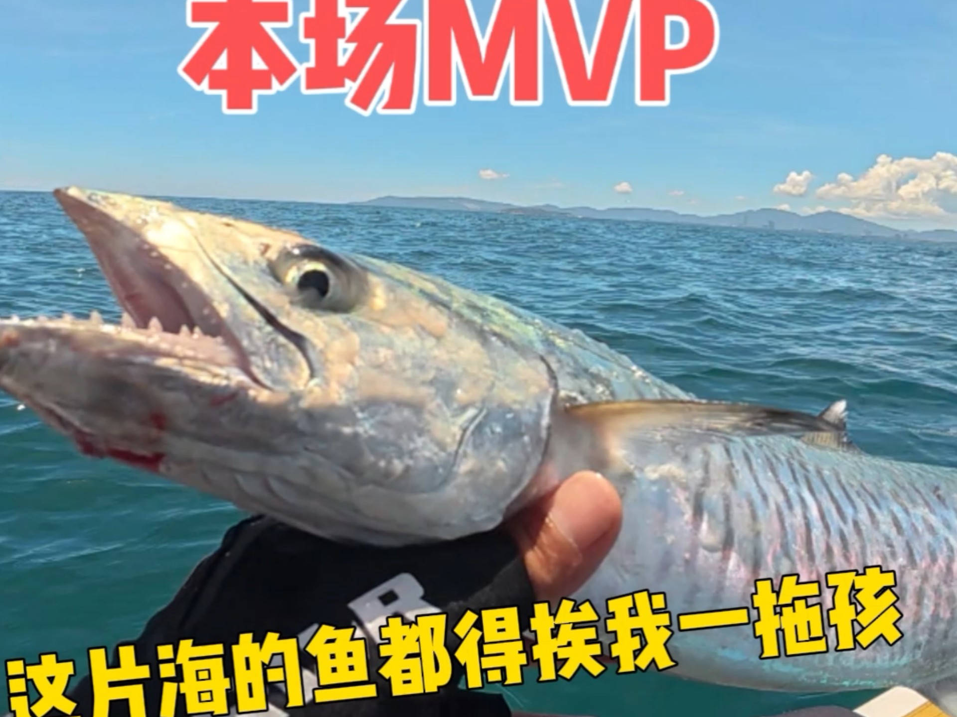 这片海的鱼都得挨我一拖孩
