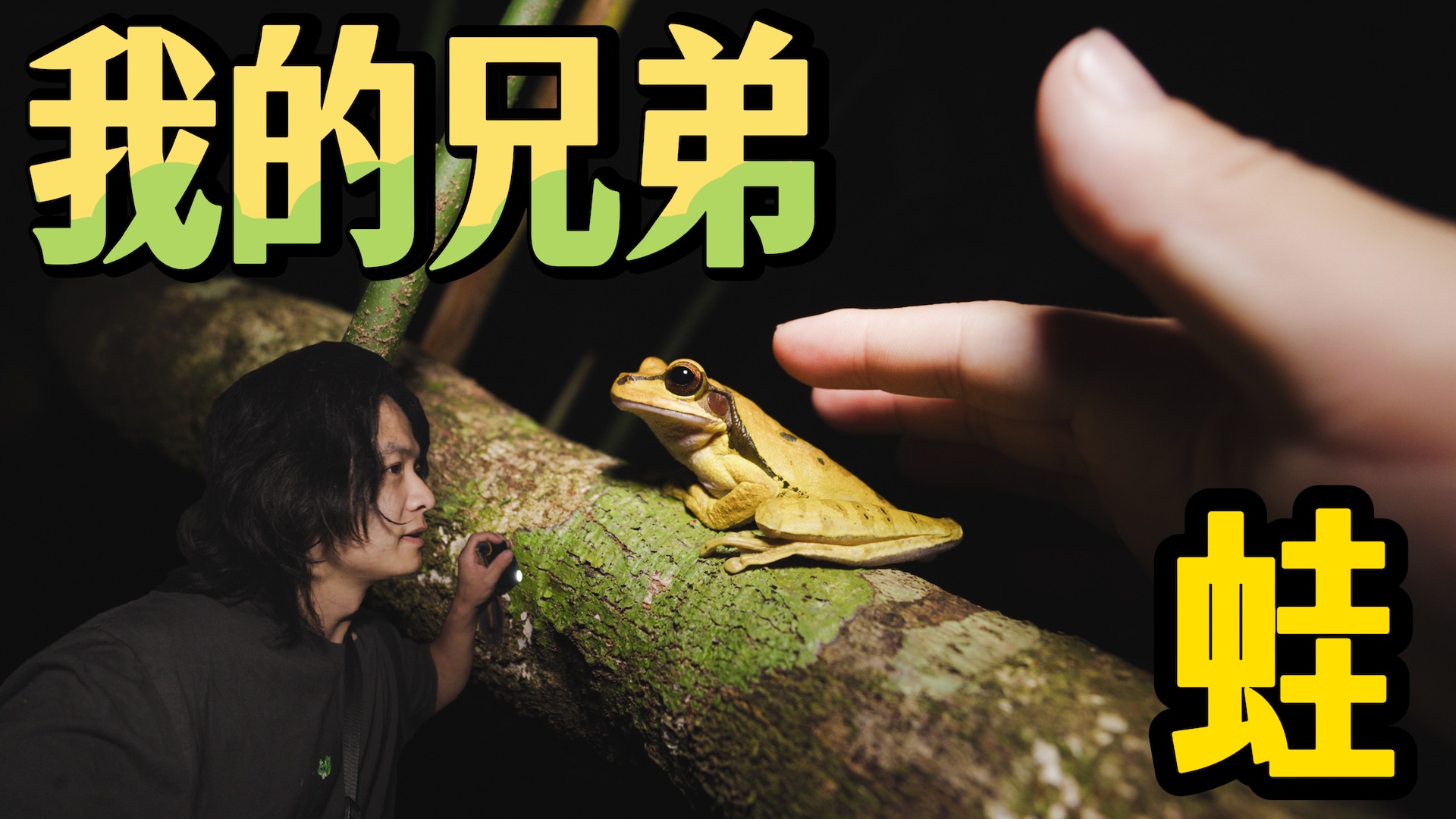 【雨林时钟】8 丛林8天，我开始对动物们唠嗑