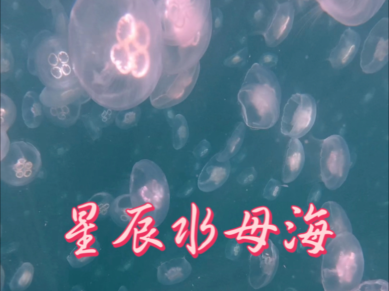 谁再说钓鱼能赚钱就打他(从发) 谁再说钓鱼能赚钱就打他(从发)
