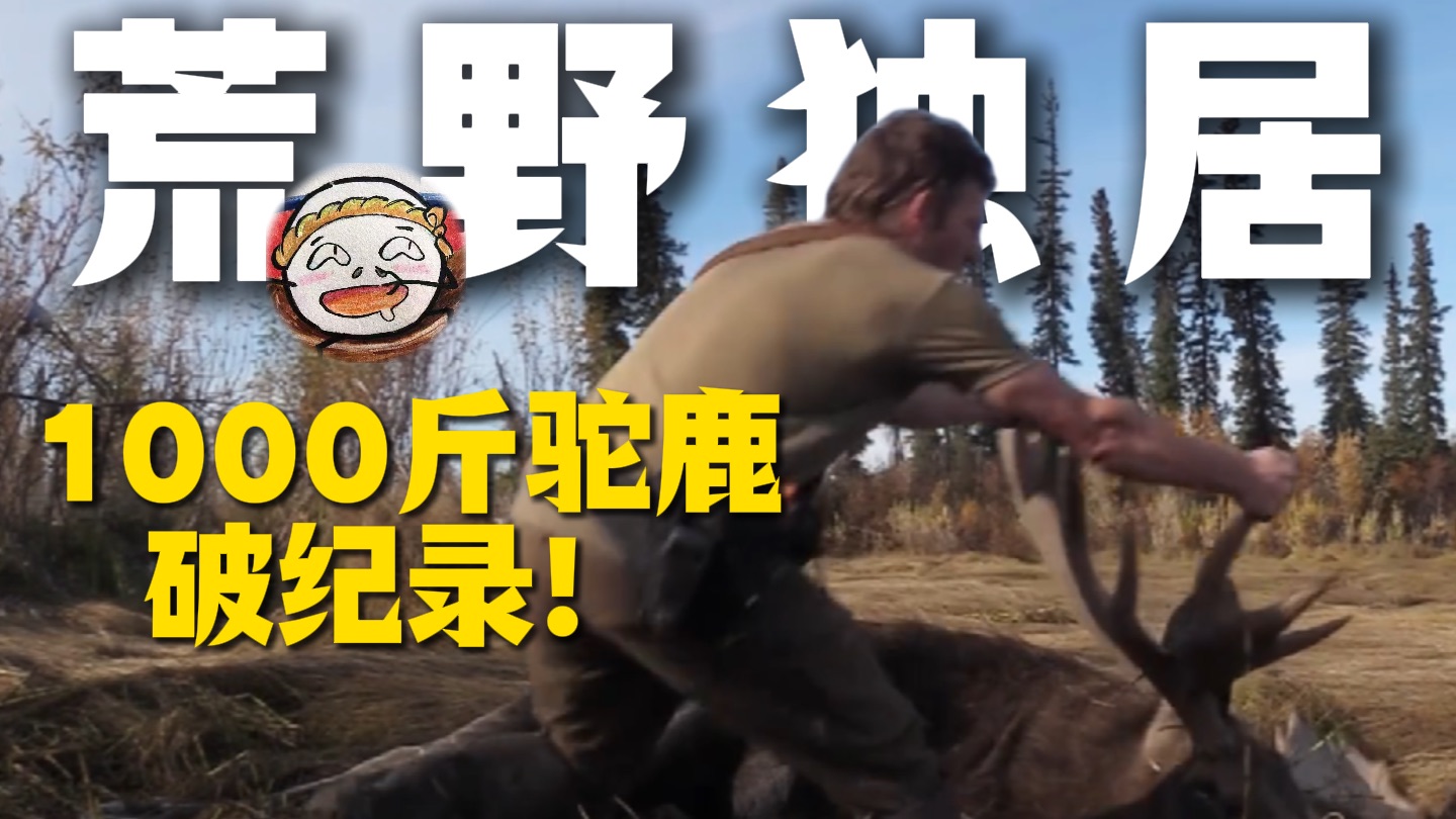 荒野独居最惨亚军，猎杀1000斤驼鹿熬了84天，屈居第二！