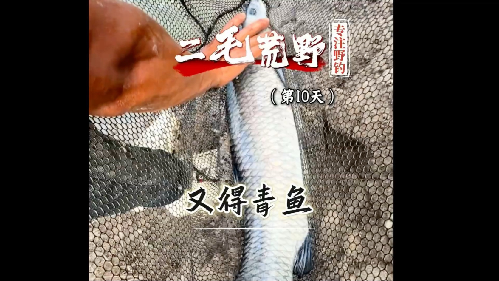 荒野钓鱼求生争霸赛第十天，虽暂居榜首，但毫不懈怠