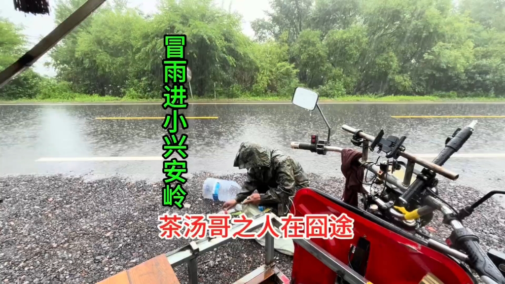 一人两狗冒雨进入小兴安岭，在马路的围栏外面搭天幕做饭吃