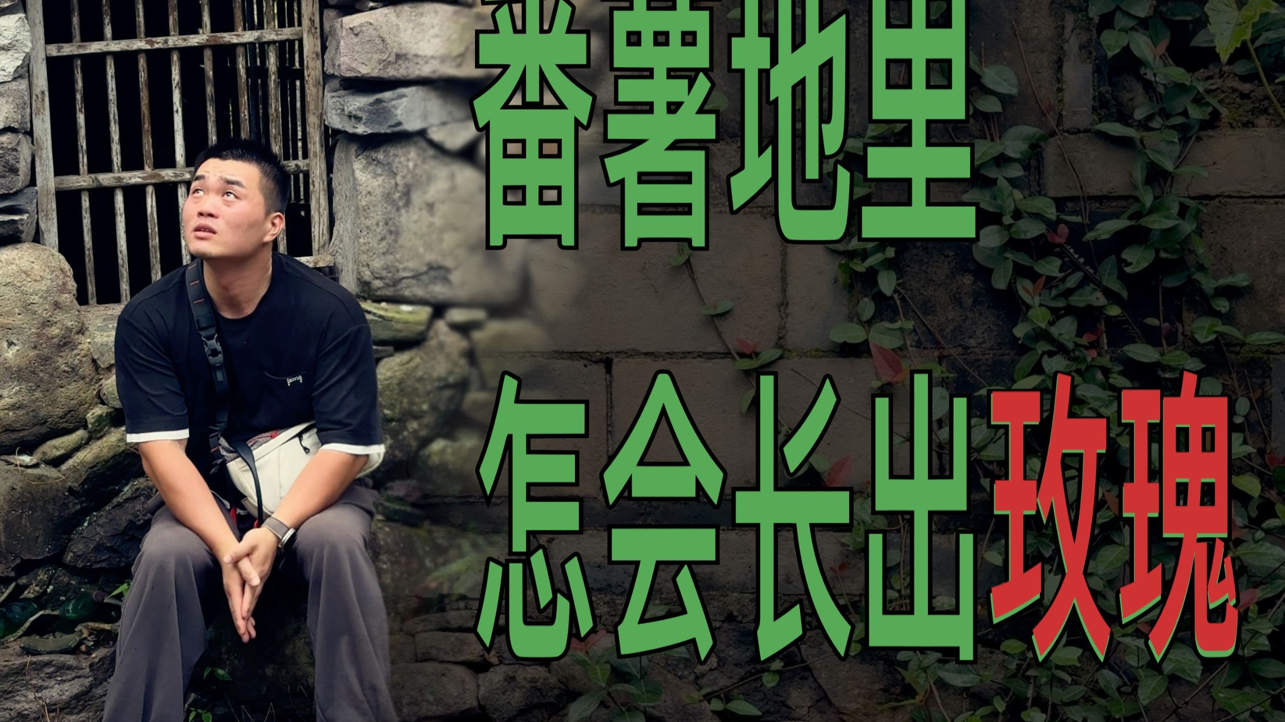 深林遇翁痴摄影，奈何生活如饕餮。咱改天必须得帮帮场子
