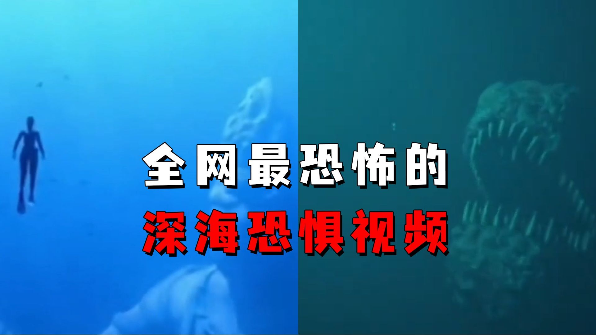 挑战全网最恐怖的深海恐惧视频《第二期》