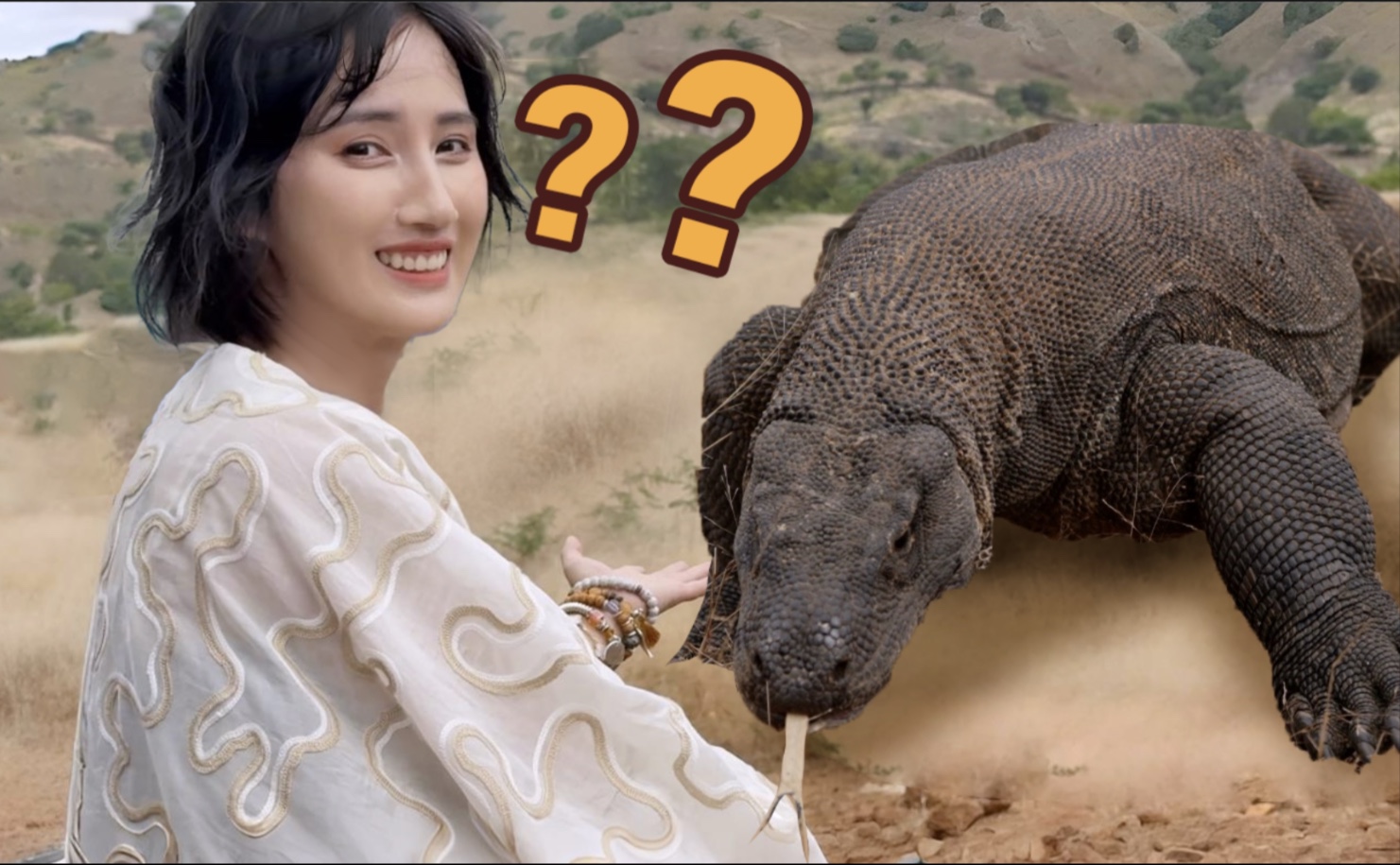 印尼荒野直面科摩多巨蜥!？树奈奈：你这表情像哭…