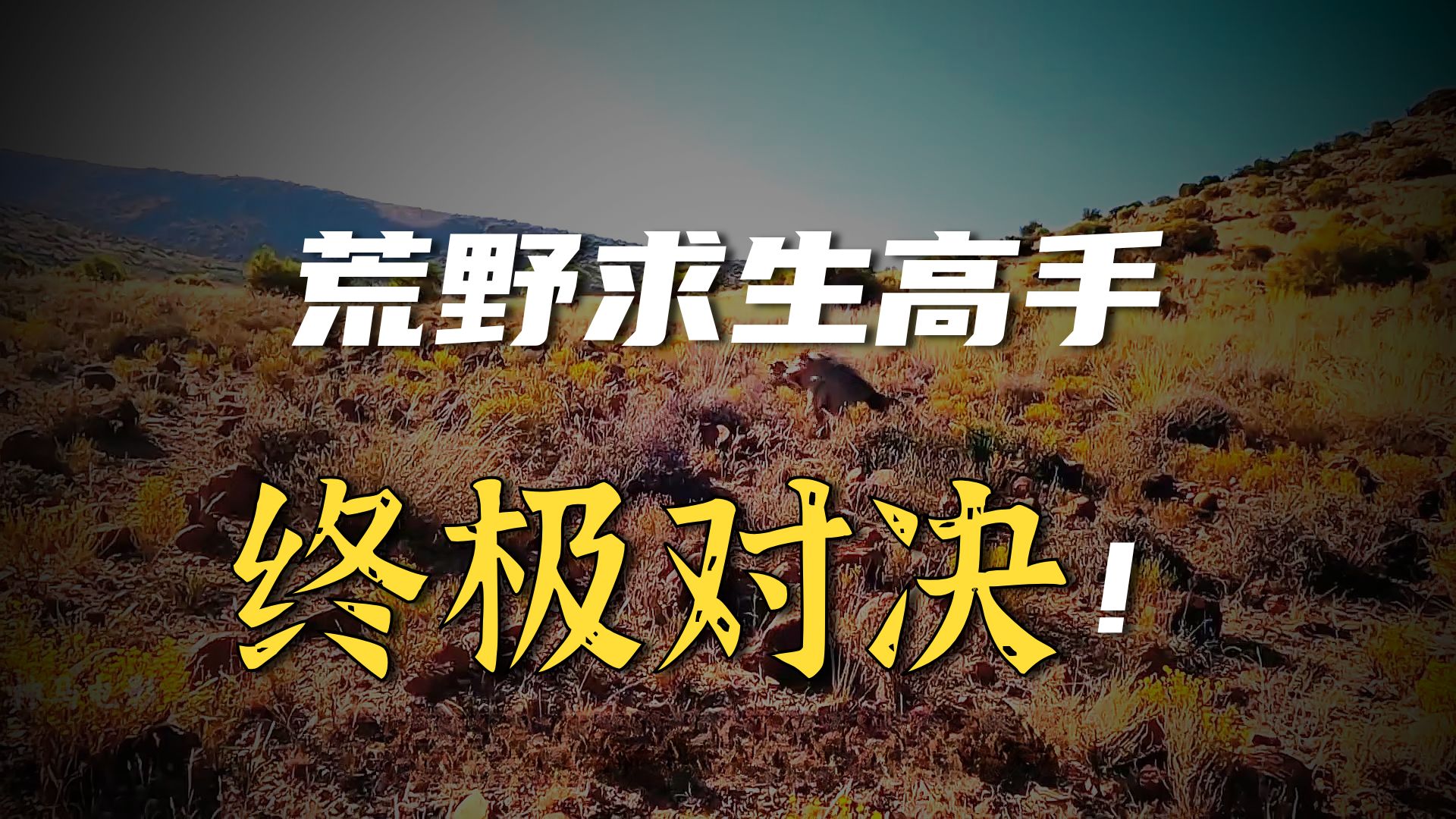 荒野独居第十二季,选手落地钓到九斤大鲶鱼,原地实现蛋白质自由 荒野独居第十二季,选手落地钓到九斤大鲶鱼,原地实现蛋白质自由