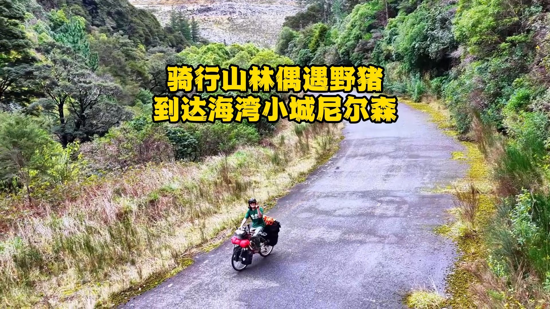 骑行新西兰：山林偶遇野猪妈妈和小猪仔，惬意前行，到达海湾小城尼