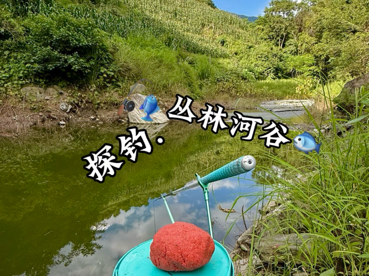 探钓 丛林河谷 探钓 丛林河谷