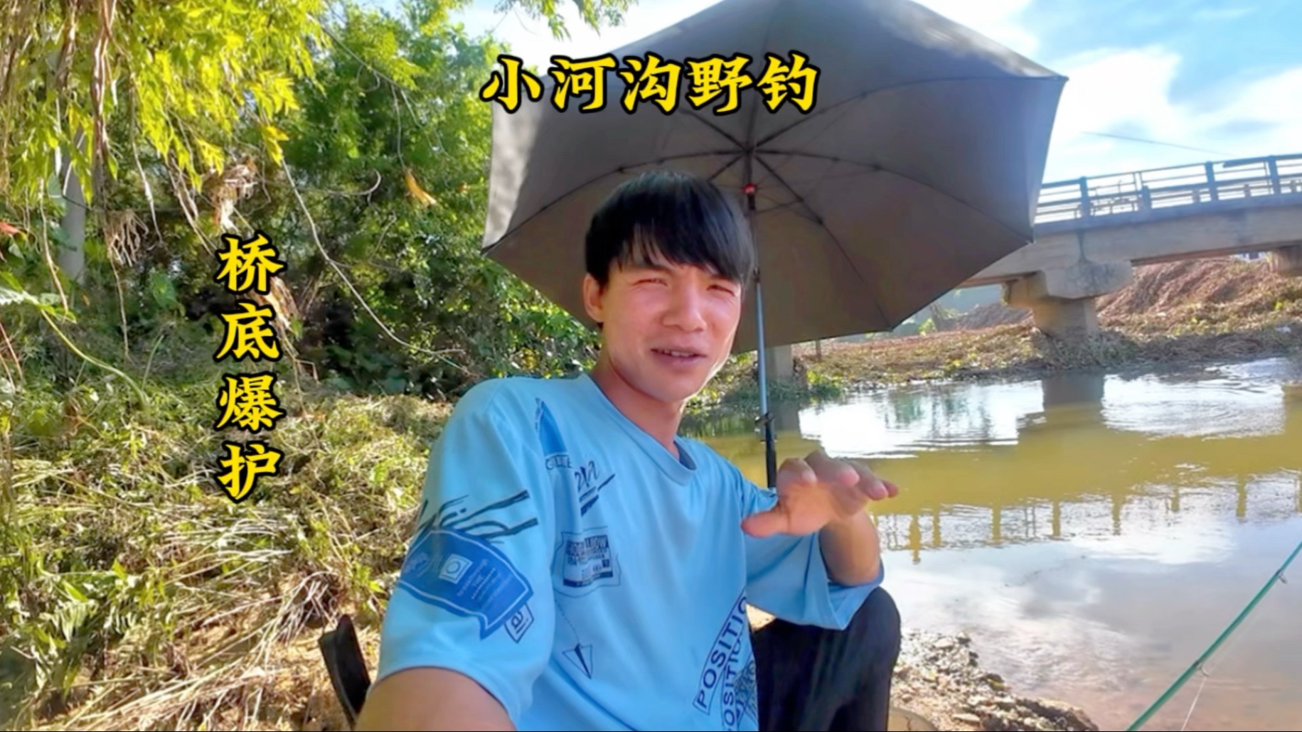 这桥底全都是鱼，想不爆护都难