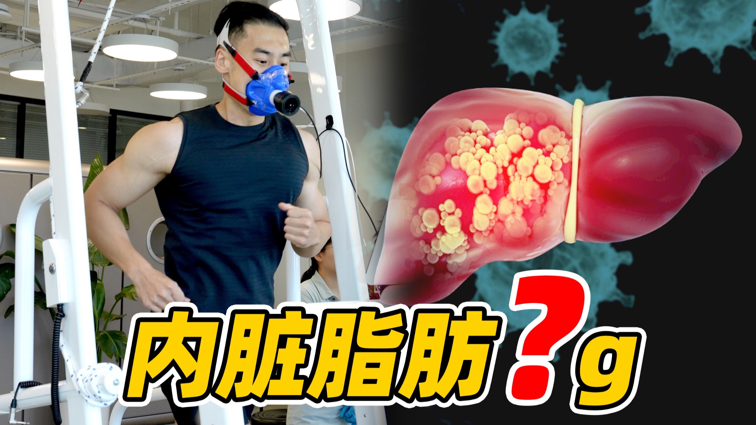 爬雪山前做体检,竟发现内脏脂肪偏高!我的体脂率是? 爬雪山前做体检,竟发现内脏脂肪偏高!我的体脂率是?