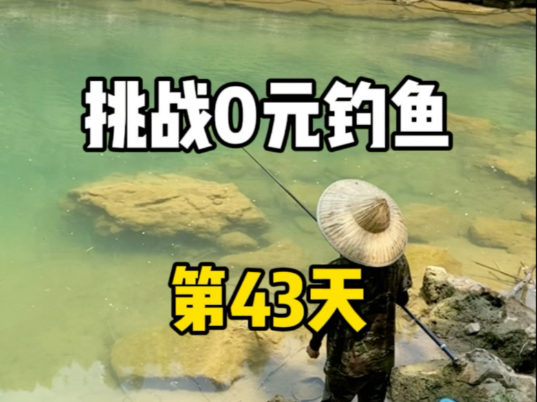 挑战0元钓鱼第43天，大哥们看看这什么鱼！