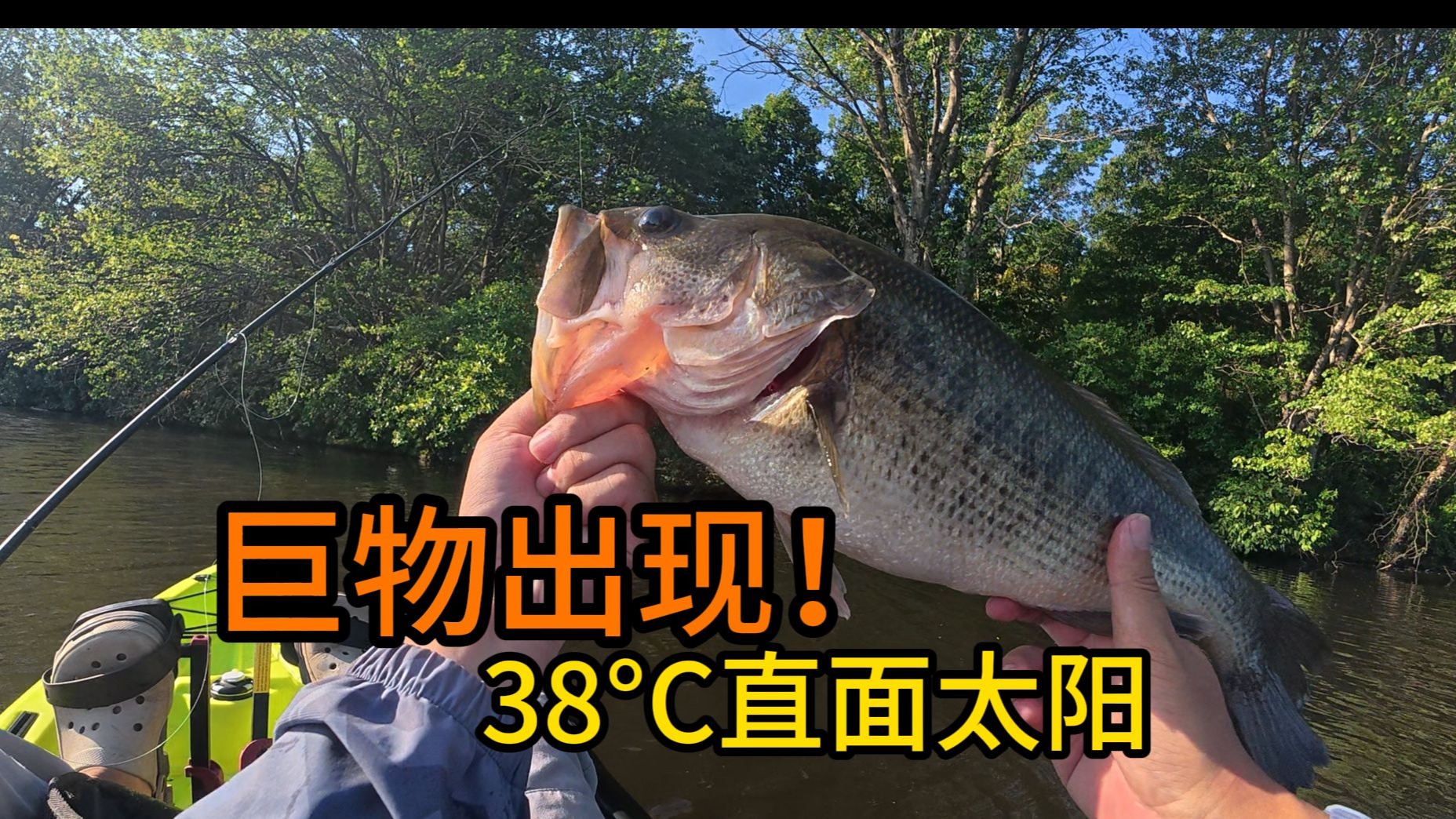 【钓鱼vlog】38度探钓，直面太阳，巨物连竿！