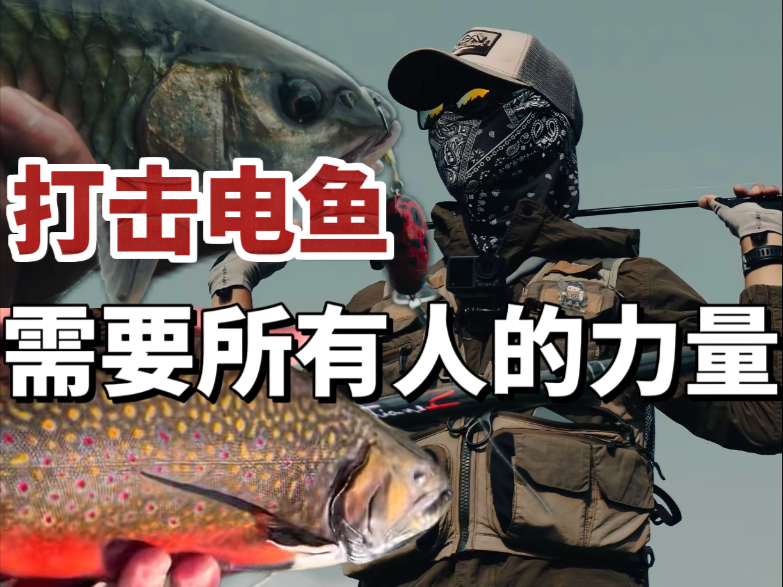 遇到违法电鱼佬，我的做法是，所有人的力量才能让河流的哀嚎停止