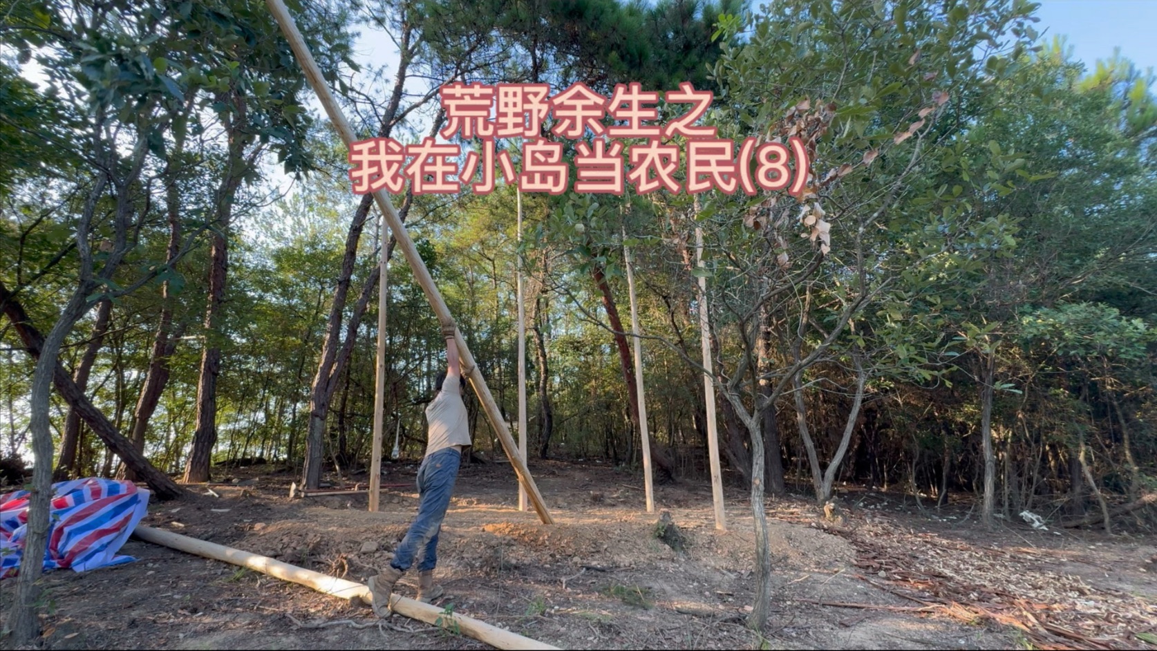 荒野余生之我在小岛当农民(8)朗腿分道，挖坑埋住洋楼开造。可