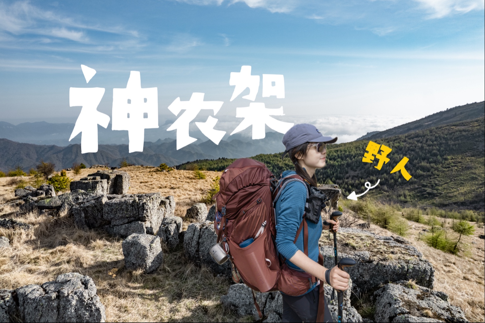 来神农架当野人啦！2天1夜重装徒步老君山，看最美的高山杜鹃~