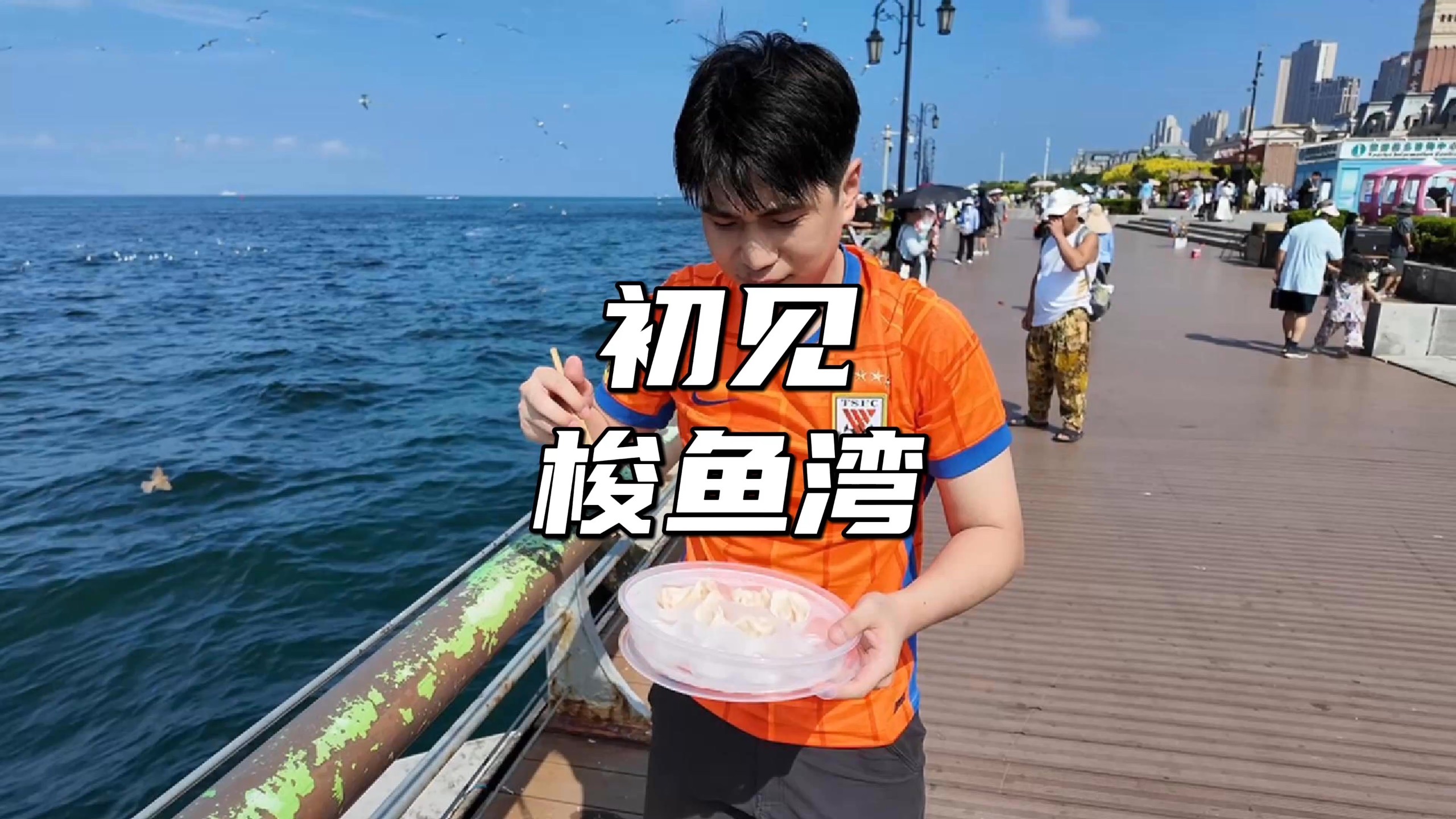 初见梭鱼湾