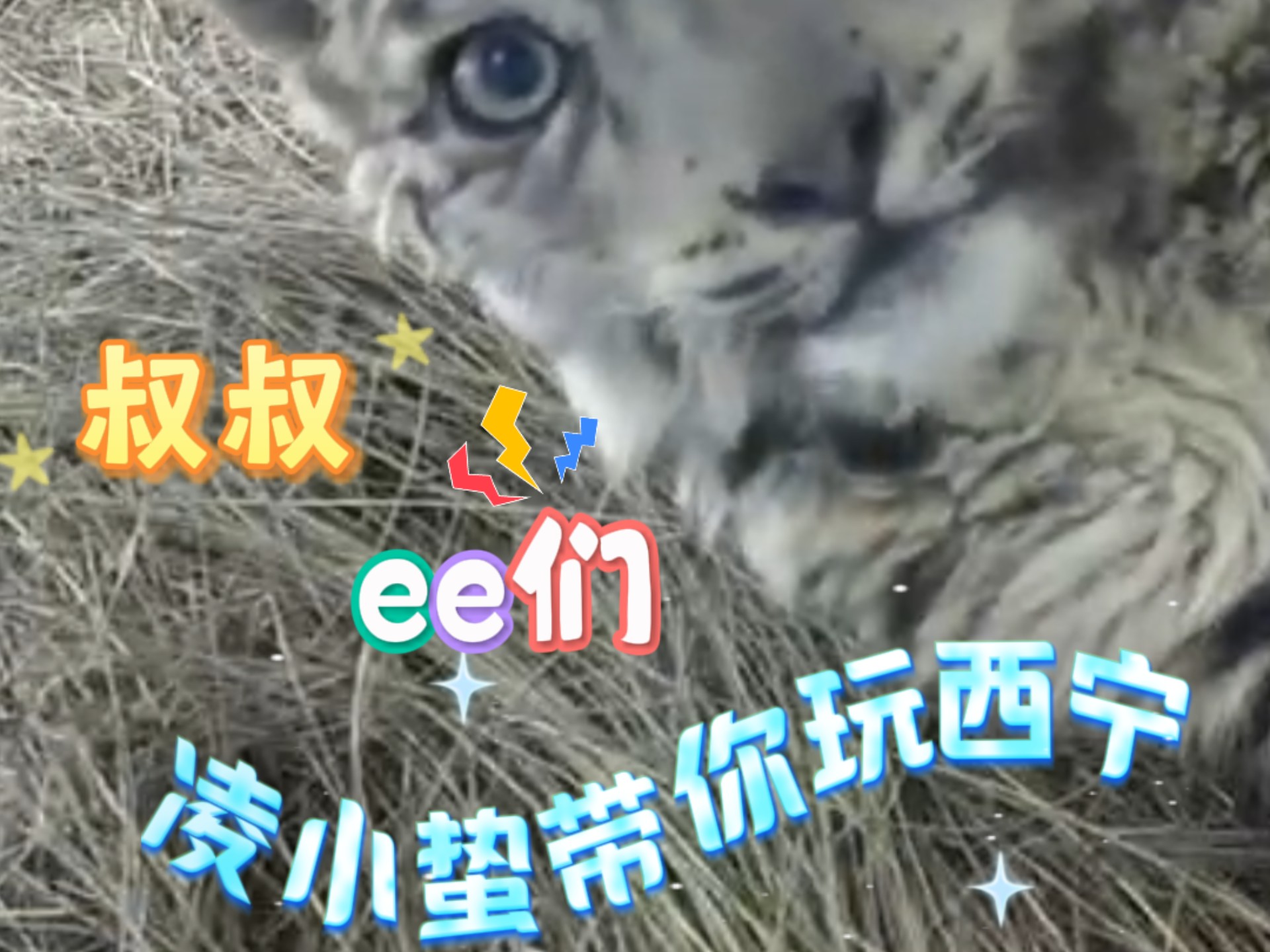 凌小蛰带你玩西宁