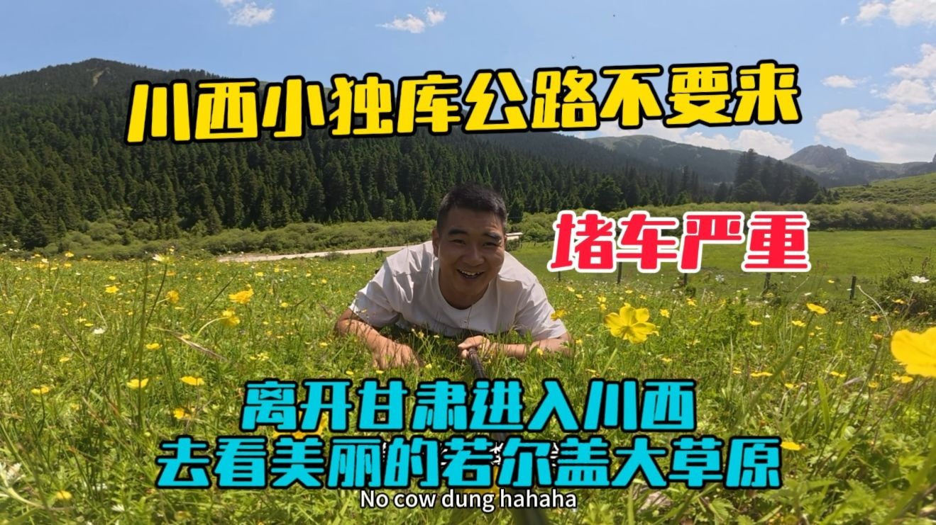 自驾小独库公路进入川西，去看美丽的若尔盖大草原，这条路堵车严