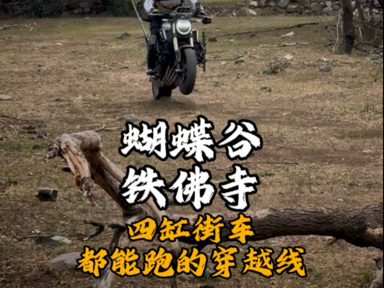 坐标洛宁 四缸街车都能跑的非铺装穿越线