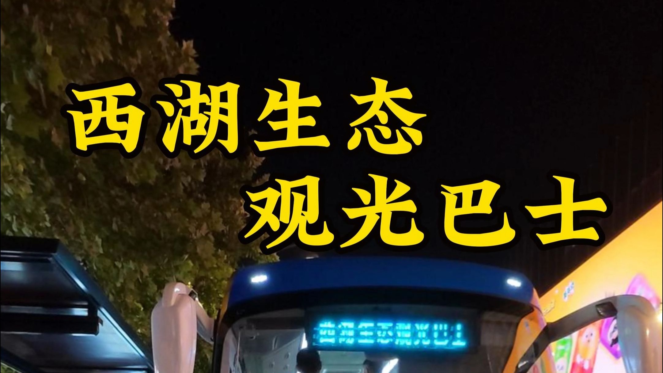 夜游西湖不想走路？西湖Bro带你打卡“西湖夜游巴士”！