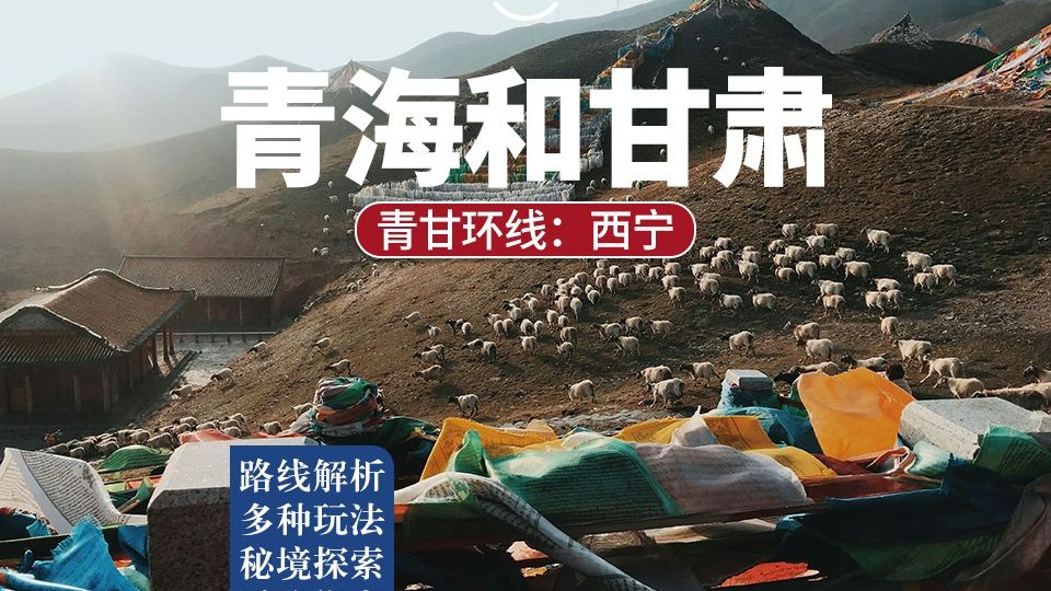 考研风终于吹到了大西北，这次是青甘大环线旅行攻略