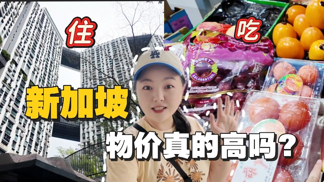 【新加坡】深入探访新加坡当地人生活！他们的物价高吗？据说80%