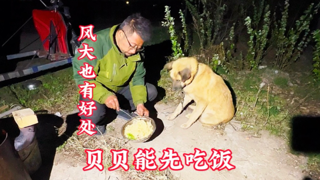 畅游东北黑龙江省，风有点大先喂贝贝，我要去车里干饭要不刮的全